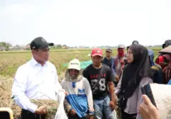 Mentan Amran Perluas Akses Alsintan untuk Buruh Tani