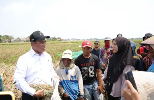 Mentan Amran Perluas Akses Alsintan untuk Buruh Tani