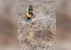 Karhutla Semeru Tewaskan Kijang, Macan Tutul Terdeteksi Bermigrasi
