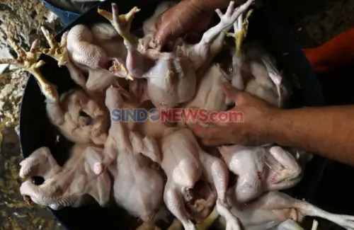 Harga Pangan Meroket, Pedagang Ungkap Beban Ganda Konsumen dan Peternak