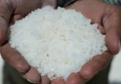 Keluarga Suriah Bertahan Hidup dengan Menggarami Gurun Pasir