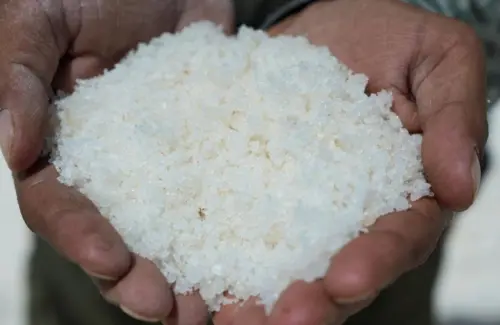 Keluarga Suriah Bertahan Hidup dengan Menggarami Gurun Pasir