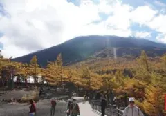 Ayah Tinggalkan Anak 7 Tahun di Gunung Fuji, Polisi Jepang Investigasi
