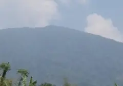 Kementerian ESDM Dorong Pengembangan Panas Bumi Gunung Ungaran Lewat Proyek Bertahap