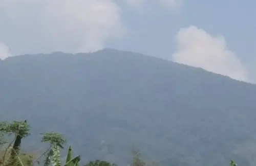 Kementerian ESDM Dorong Pengembangan Panas Bumi Gunung Ungaran Lewat Proyek Bertahap