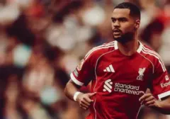 Liverpool Pertahankan Cody Gakpo, Tolak Tawaran Manchester City Rp1,5 Triliun
