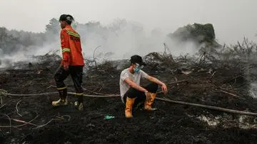 35 Pesawat Asing Turun Tangan Padamkan Karhutla Kalimantan, Pemerintah Akui Keterbatasan Alat