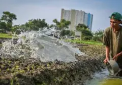 Green Jobs: Peluang Karir Ramah Lingkungan di Era Keberlanjutan