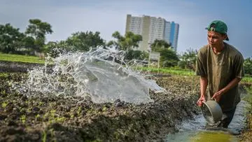Green Jobs: Peluang Karir Ramah Lingkungan di Era Keberlanjutan