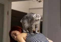 Menguak Misteri 'Memijat' Kucing: Bentuk Kasih Sayang atau Naluri Purba?