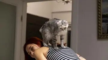 Menguak Misteri 'Memijat' Kucing: Bentuk Kasih Sayang atau Naluri Purba?