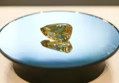 Kakek Beruntung Temukan Berlian Kuning 2,29 Karat di Arkansas