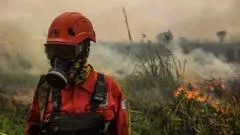 Kabut Asap Beracun Landa Asia Tenggara Akibat El Niño 'Super'