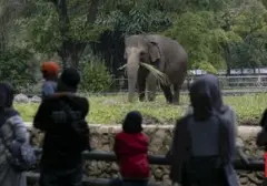 Tarif Masuk Ragunan Diusulkan Naik Jadi Rp10.000