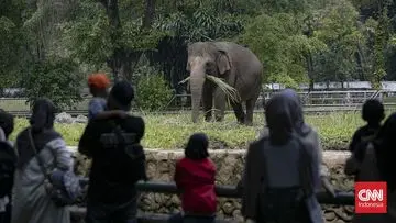 Tarif Masuk Ragunan Diusulkan Naik Jadi Rp10.000