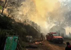 Kebakaran Hutan Paksa Penutupan Sementara Kawasan Wisata Kawah Ijen