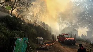 Kebakaran Hutan Paksa Penutupan Sementara Kawasan Wisata Kawah Ijen