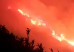 Kebakaran Melanda Gunung Ijen, Api Dekati Jalur Pendakian