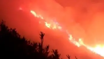 Kebakaran Melanda Gunung Ijen, Api Dekati Jalur Pendakian