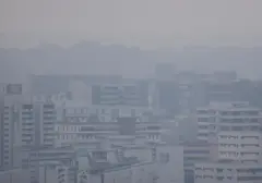 Asap Karhutla Kembali Selimuti Singapura, Kualitas Udara Memburuk