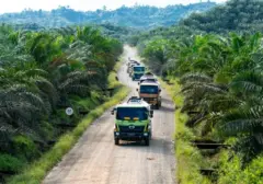 GAPKI Sambut Positif Instruksi Presiden untuk Atasi Karhutla demi Sawit Lestari