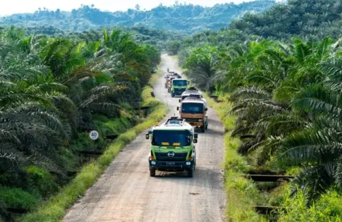 GAPKI Sambut Positif Instruksi Presiden untuk Atasi Karhutla demi Sawit Lestari