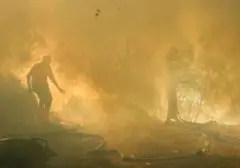 Kebakaran Lahan Paksa Penutupan Sementara Taman Wisata Alam Kawah Ijen