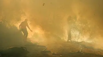 Kebakaran Lahan Paksa Penutupan Sementara Taman Wisata Alam Kawah Ijen