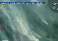 Satelit Copernicus Deteksi Kebakaran Lahan di Ketapang, Asap Tebal Mengarah ke Pantai