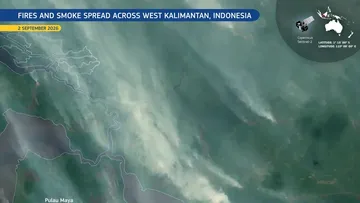 Satelit Copernicus Deteksi Kebakaran Lahan di Ketapang, Asap Tebal Mengarah ke Pantai