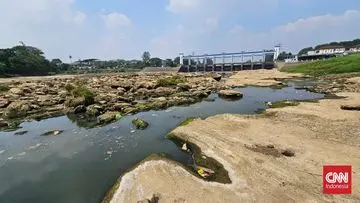 Waspada Kekeringan: Debit Sungai Cisadane Tangerang Menurun Drastis Akibat Kemarau Panjang