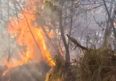 Asap Kebakaran Hutan Indonesia Capai Filipina, Media Internasional Beri Perhatian