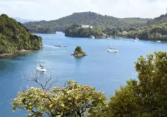 Stewart Island, Selandia Baru: Gerbang Menuju Ketenangan dan Pendar Aurora yang Memukau