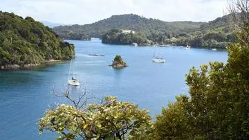 Stewart Island, Selandia Baru: Gerbang Menuju Ketenangan dan Pendar Aurora yang Memukau