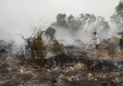 Darurat Kualitas Udara di Sarawak: Malaysia Ambil Langkah Tegas Akibat Kabut Asap