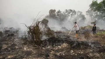 Darurat Kualitas Udara di Sarawak: Malaysia Ambil Langkah Tegas Akibat Kabut Asap