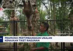 Tarif Masuk Ragunan Diusulkan Naik Jadi Rp 10 Ribu, Pemprov DKI Kaji Ulang