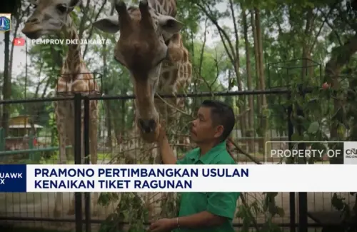 Tarif Masuk Ragunan Diusulkan Naik Jadi Rp 10 Ribu, Pemprov DKI Kaji Ulang