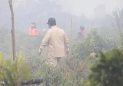 Prabowo Ancam Cabut Izin Perusahaan Terkait Kebakaran Hutan