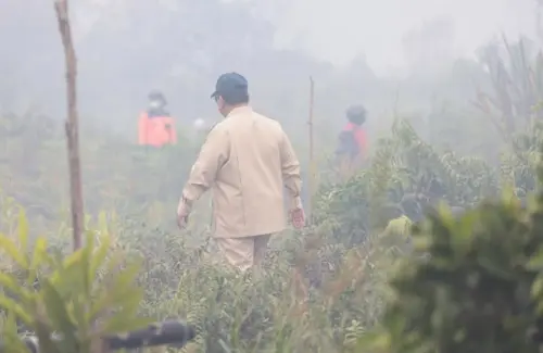 Prabowo Ancam Cabut Izin Perusahaan Terkait Kebakaran Hutan
