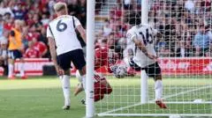 Rekaman Baru Ungkap Bola Mengenai Dua Tangan Williams Sebelum Gol Dianulir