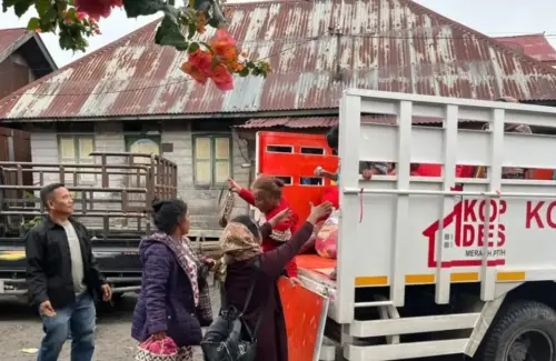 Ratusan Pengungsi Sinabung Kembali ke Kampung Halaman dengan Bantuan Kopdes Merah Putih