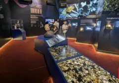 Museum Geologi Bandung Hadirkan Pengalaman Malam Spektakuler Lewat "Day and Night at the Museum"