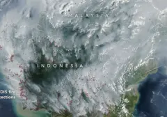 Satelit NASA Memotret Luasnya Asap Kebakaran Hutan Kalimantan Akibat Kekeringan