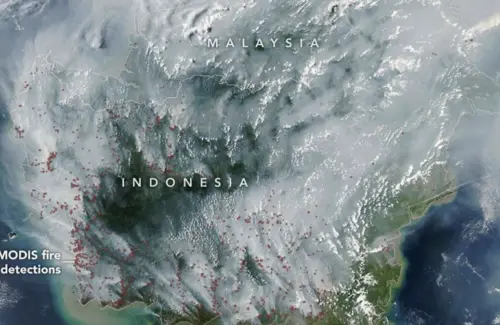 Satelit NASA Memotret Luasnya Asap Kebakaran Hutan Kalimantan Akibat Kekeringan