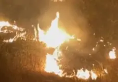 Kebakaran Hebat Landa Antalya, Upaya Pemadaman Berlangsung Dramatis Semalaman