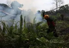 Kalbar Perpanjang Tanggap Darurat Asap Karhutla Sampai 20 September