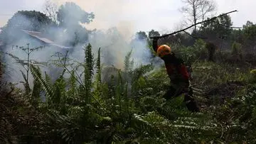 Kalbar Perpanjang Tanggap Darurat Asap Karhutla Sampai 20 September
