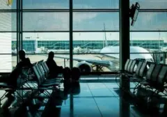 Kepala Buaya Langka Ditemukan di Koper Penumpang Bandara Turin, Pria Italia Diamankan