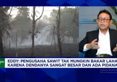 Petani Sawit Turun Tangan Padamkan Api di Lahan Gambut Kalimantan Tengah